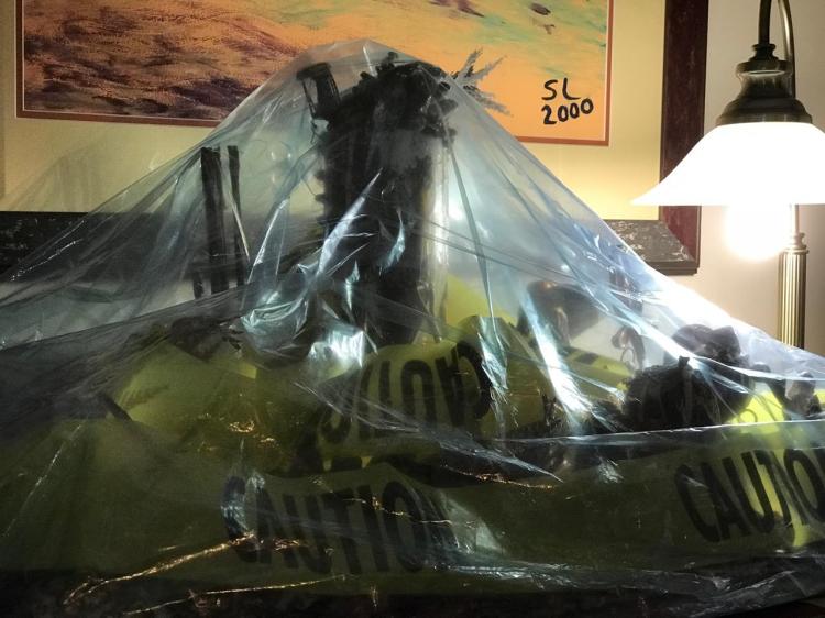 UNLEASHING THE BEAST 2