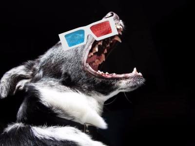 Can You See Me&nbsp;Now?