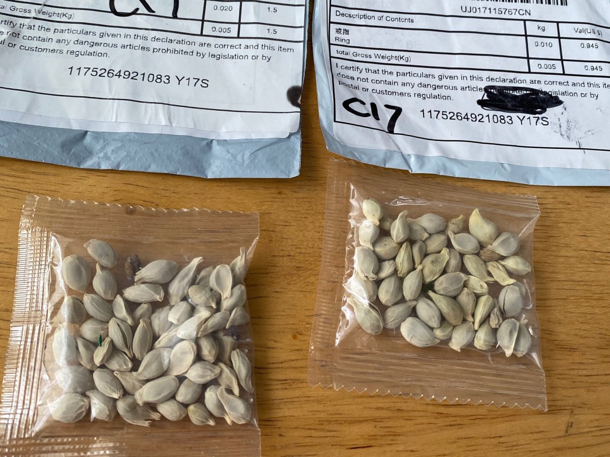 Seeds Sent From China To USA&nbsp;Individuals