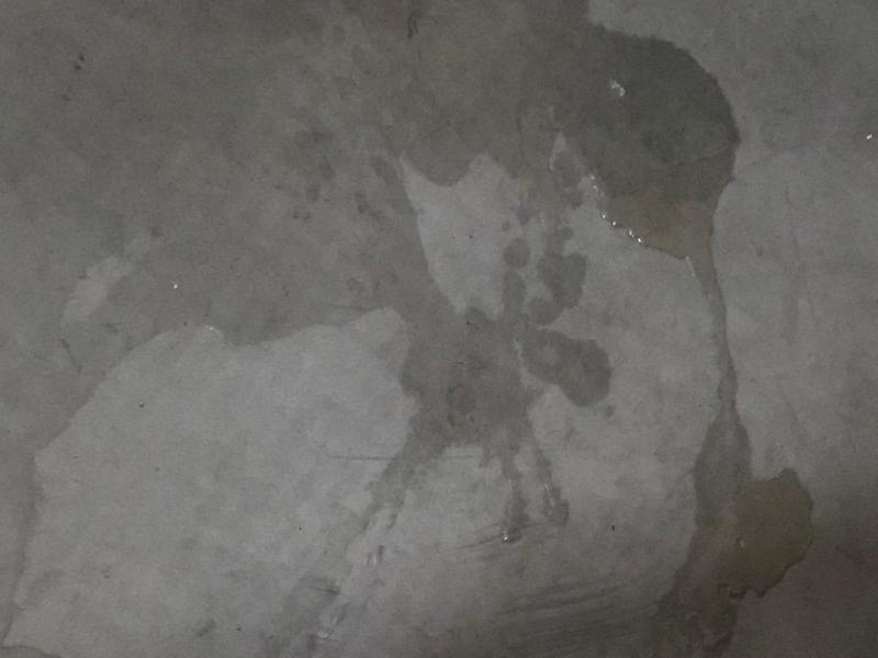 Lilly Belle’s Pee Art – What Do You&nbsp;See?