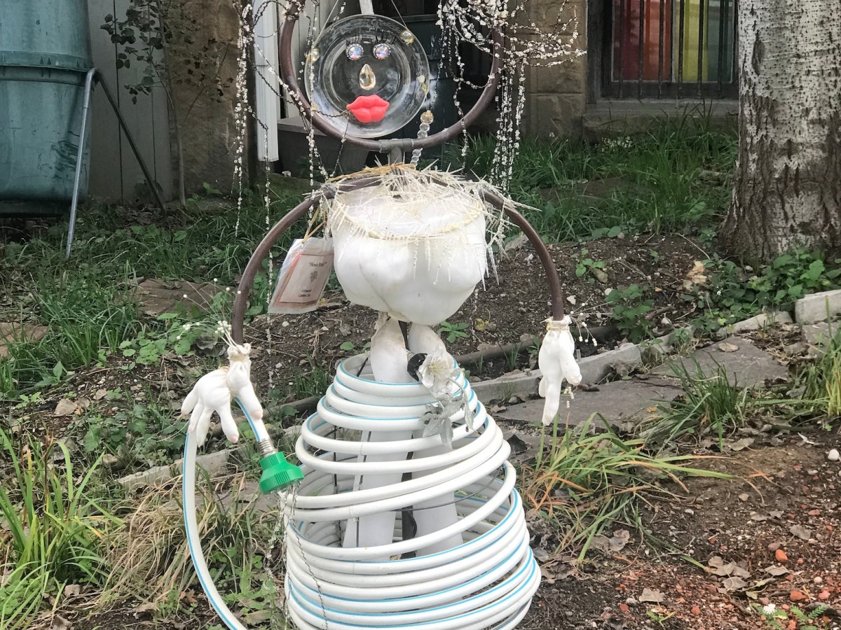 Lilly Encounters Her First&nbsp;Alien