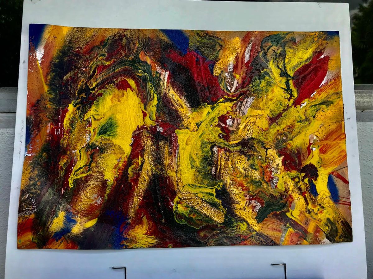 Bird Of Paradise – Multiple&nbsp;Views