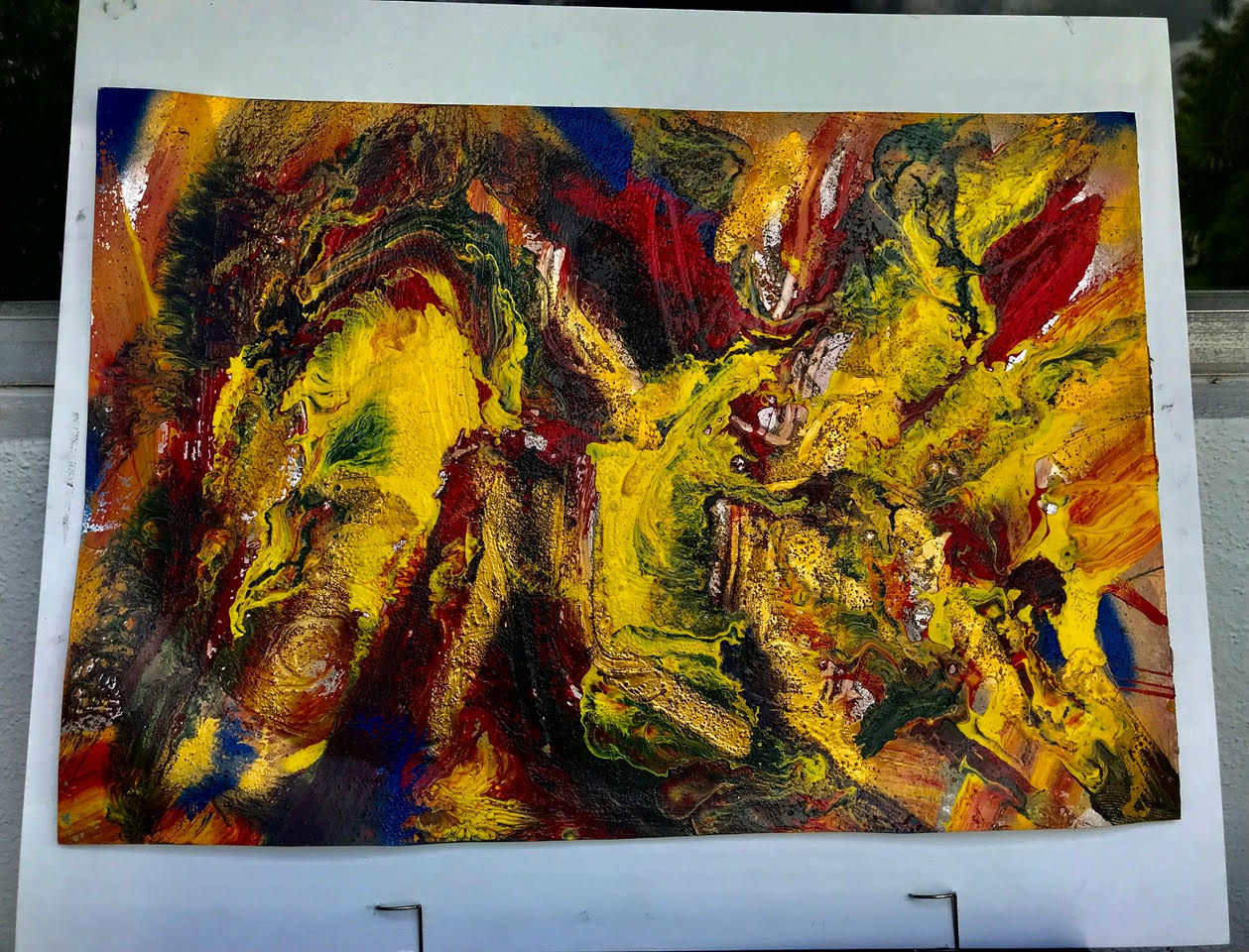 Bird Of Paradise – Multiple&nbsp;Views